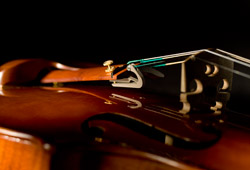 Feinstimmer Violine