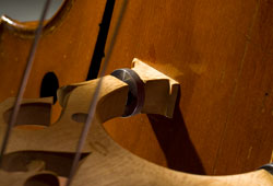 Bass Stegschraube